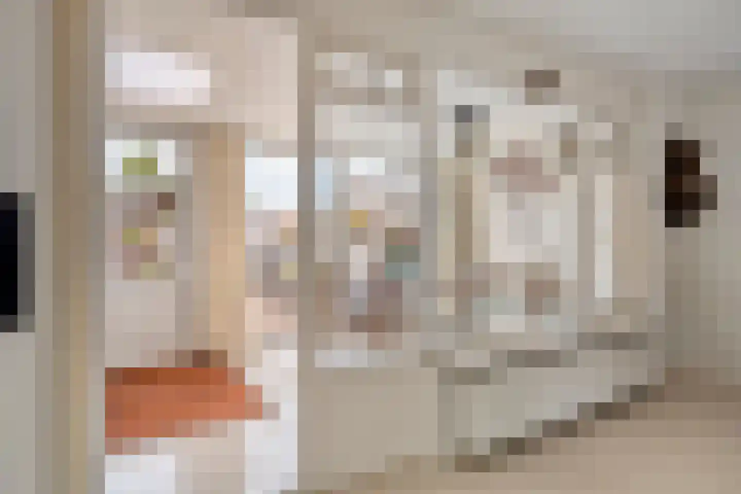 Hoefijzer 6 Bergen op Zoom thumbnail 23