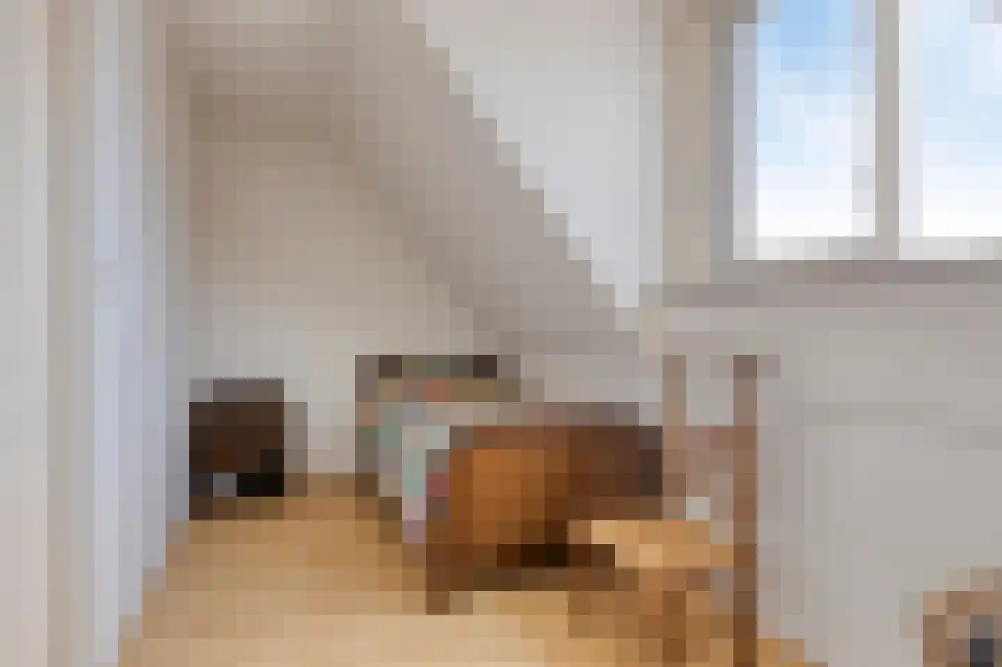 Hoefijzer 6 Bergen op Zoom thumbnail 30