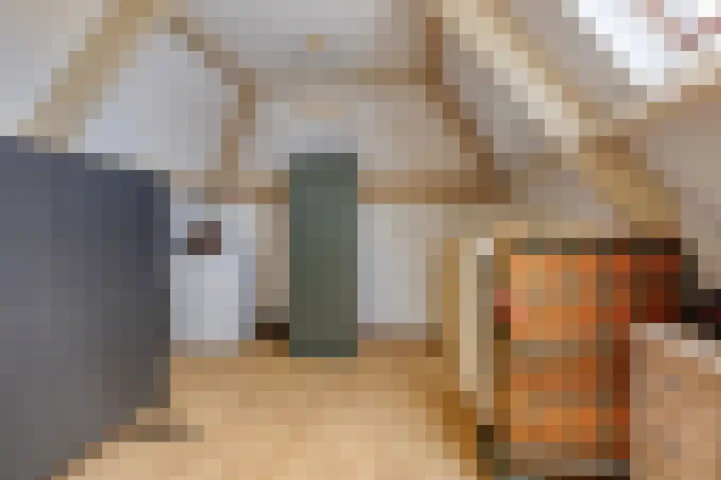Hoefijzer 6 Bergen op Zoom thumbnail 37