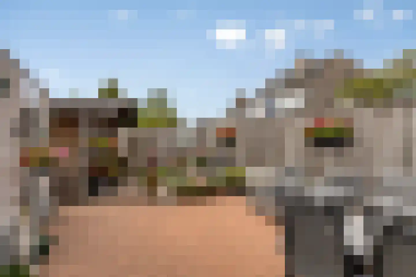 Hoefijzer 6 Bergen op Zoom thumbnail 40