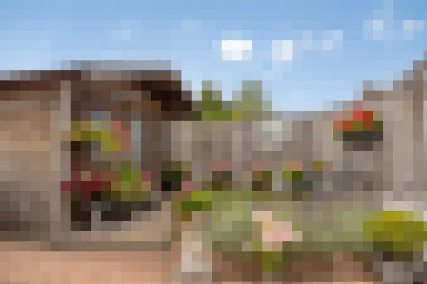 Hoefijzer 6 Bergen op Zoom thumbnail 41