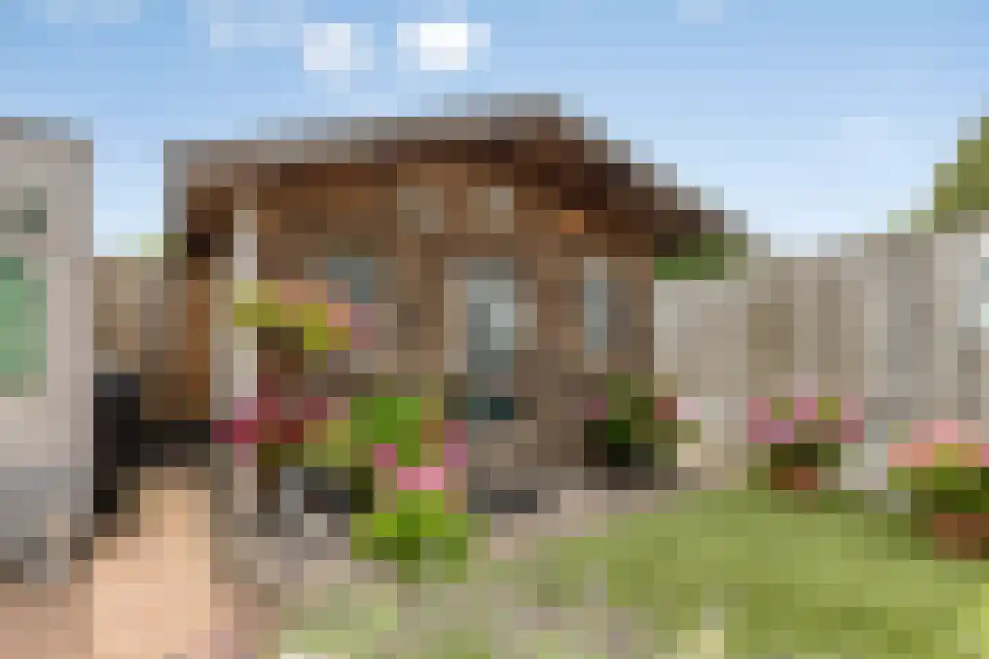 Hoefijzer 6 Bergen op Zoom thumbnail 43