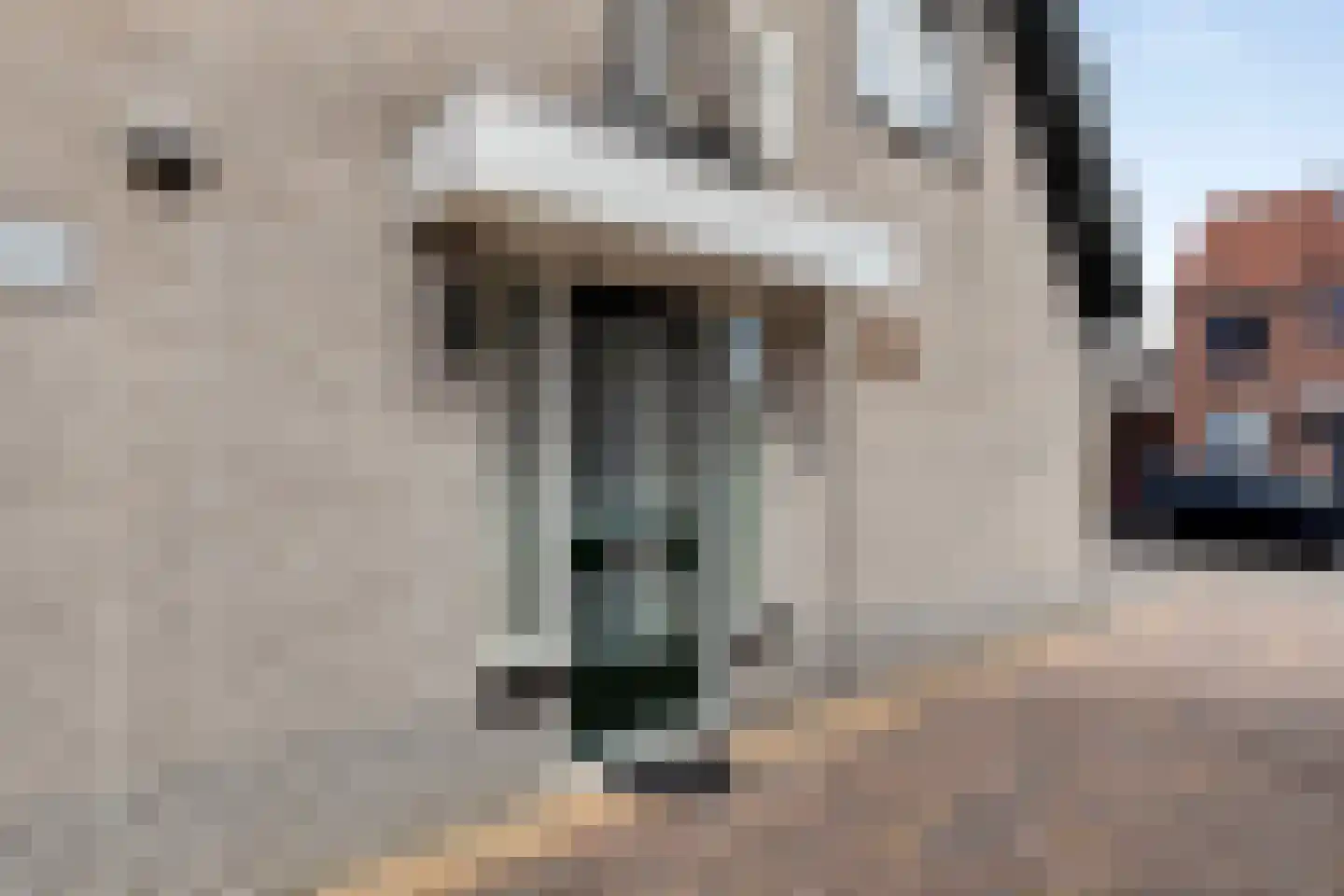 Hoefijzer 6 Bergen op Zoom thumbnail 8