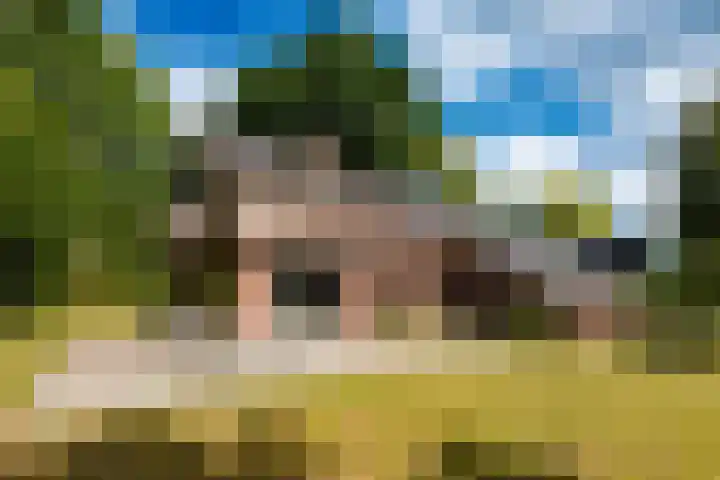Hoefijzer 60 Loenen aan de Vecht thumbnail 10