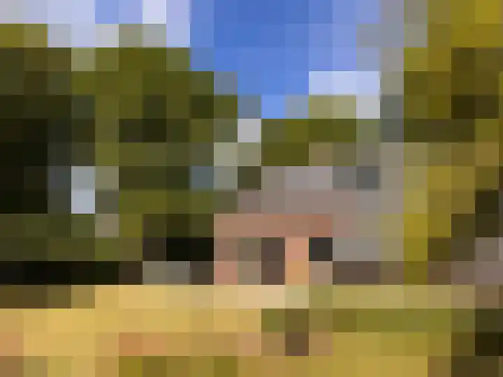 Hoefijzer 60 Loenen aan de Vecht thumbnail 15
