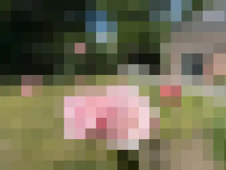 Hoefijzer 60 Loenen aan de Vecht thumbnail 16