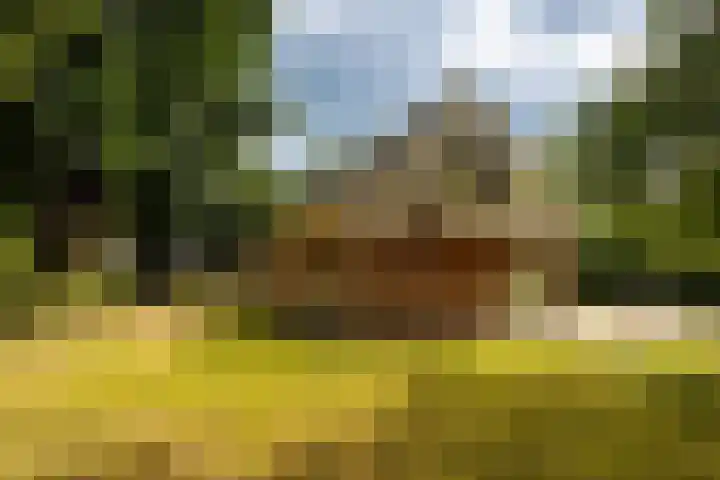 Hoefijzer 60 Loenen aan de Vecht thumbnail 19