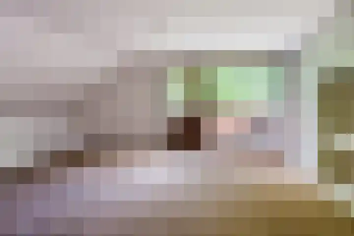 Hoefijzer 60 Loenen aan de Vecht thumbnail 20