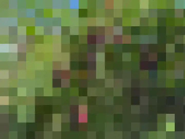 Hoefijzer 60 Loenen aan de Vecht thumbnail 26