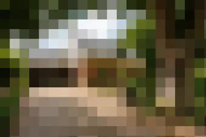 Hoefijzer 60 Loenen aan de Vecht thumbnail 31
