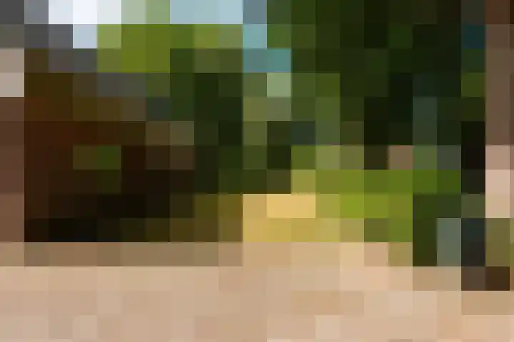 Hoefijzer 60 Loenen aan de Vecht thumbnail 33