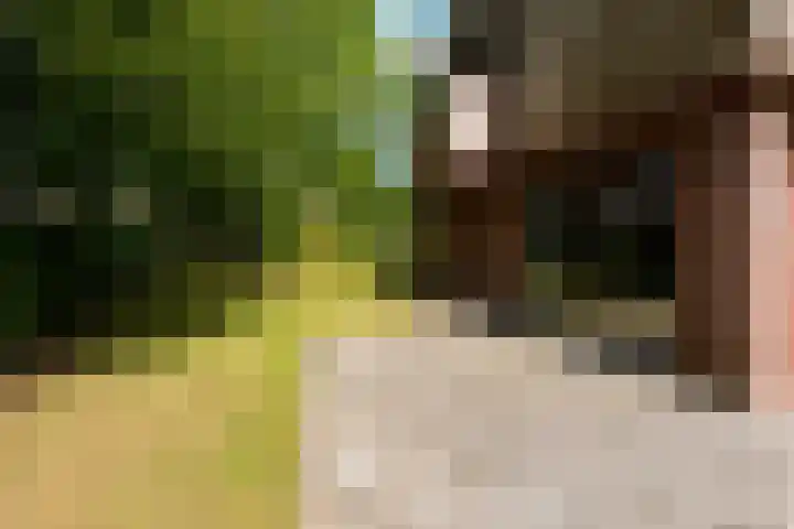Hoefijzer 60 Loenen aan de Vecht thumbnail 34
