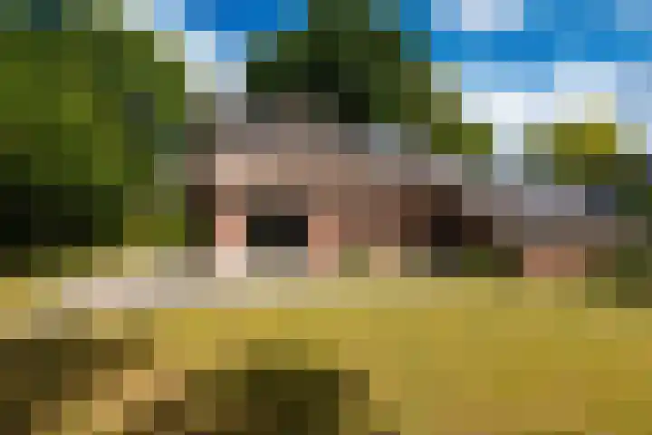 Hoefijzer 60 Loenen aan de Vecht thumbnail 35