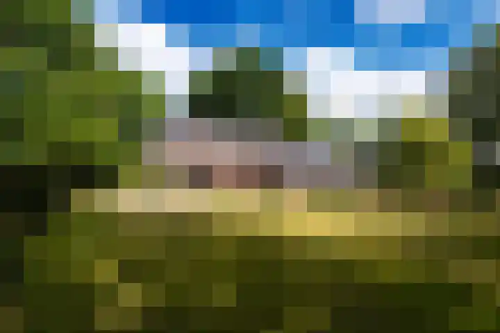 Hoefijzer 60 Loenen aan de Vecht thumbnail 37