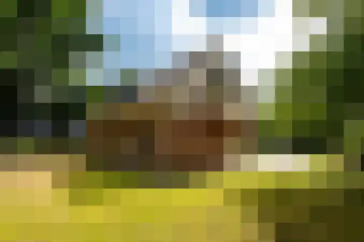Hoefijzer 60 Loenen aan de Vecht thumbnail 38