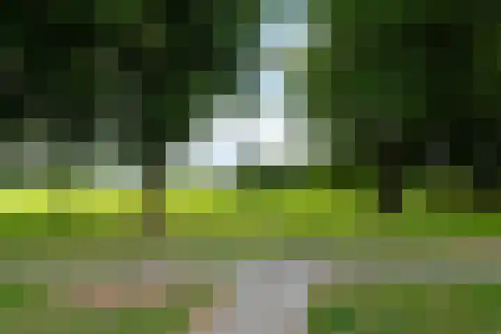 Hoefijzer 60 Loenen aan de Vecht thumbnail 39