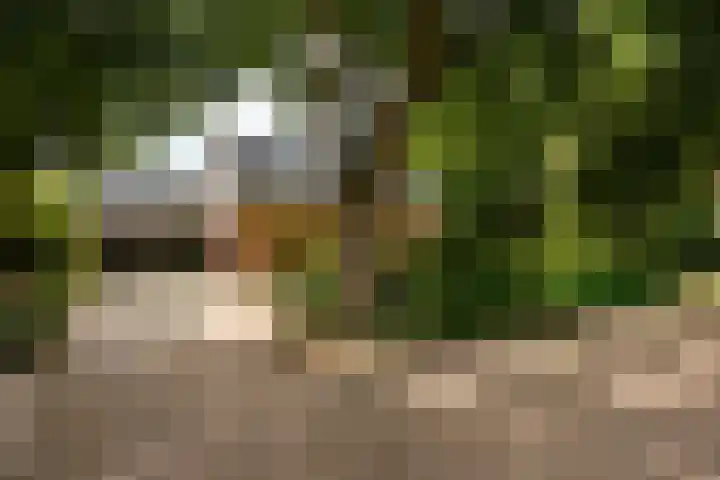 Hoefijzer 60 Loenen aan de Vecht thumbnail 4