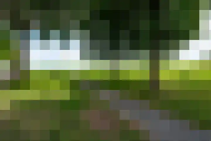 Hoefijzer 60 Loenen aan de Vecht thumbnail 40