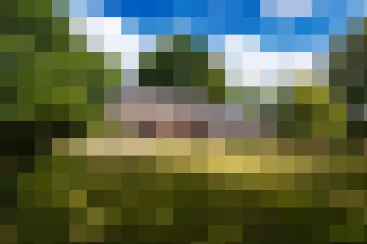 Hoefijzer 60 Loenen aan de Vecht thumbnail 49