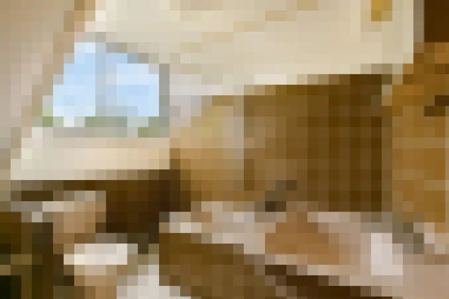 Hoefijzer 70 Loenen aan de Vecht thumbnail 21