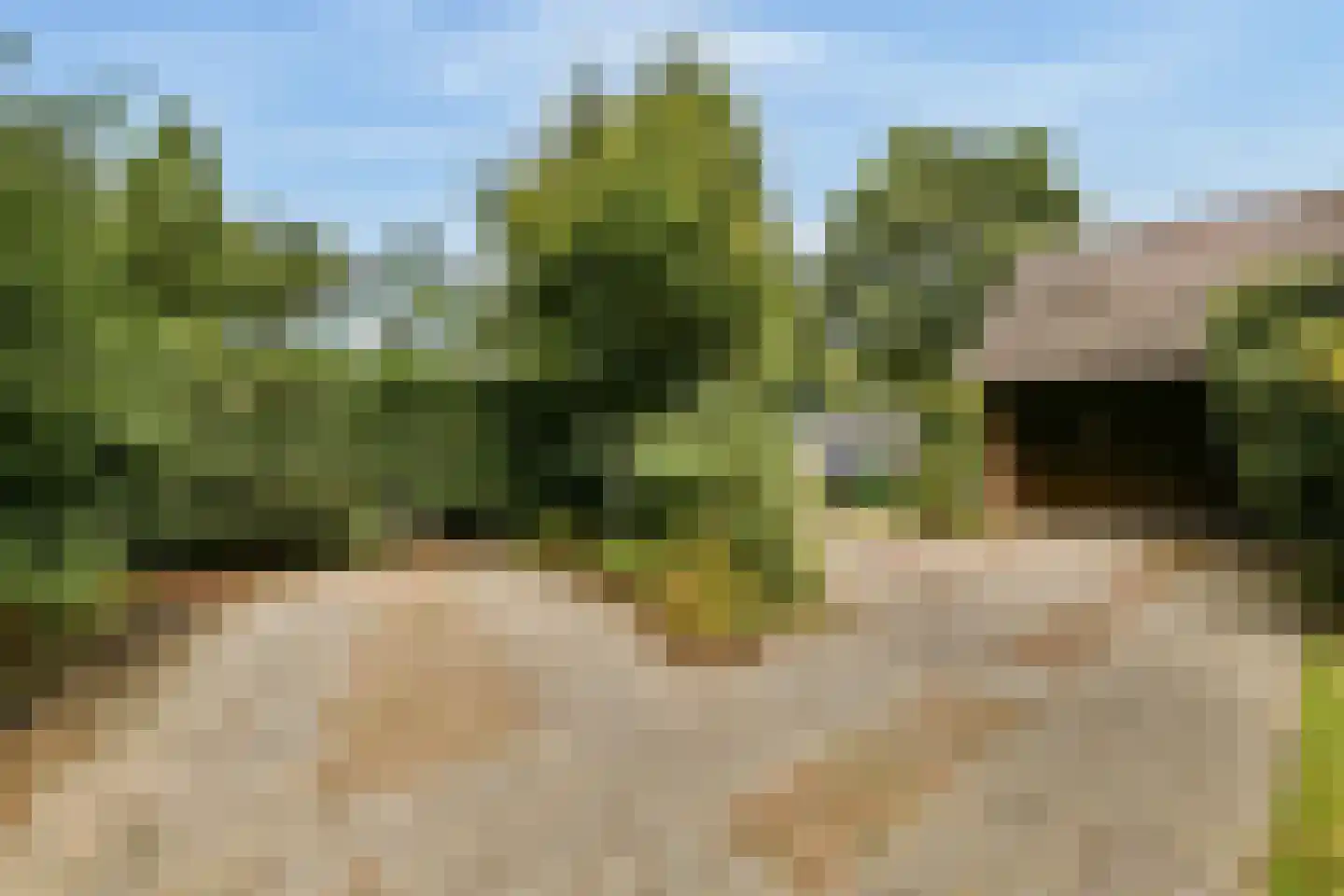 Hoefijzer 70 Loenen aan de Vecht thumbnail 24
