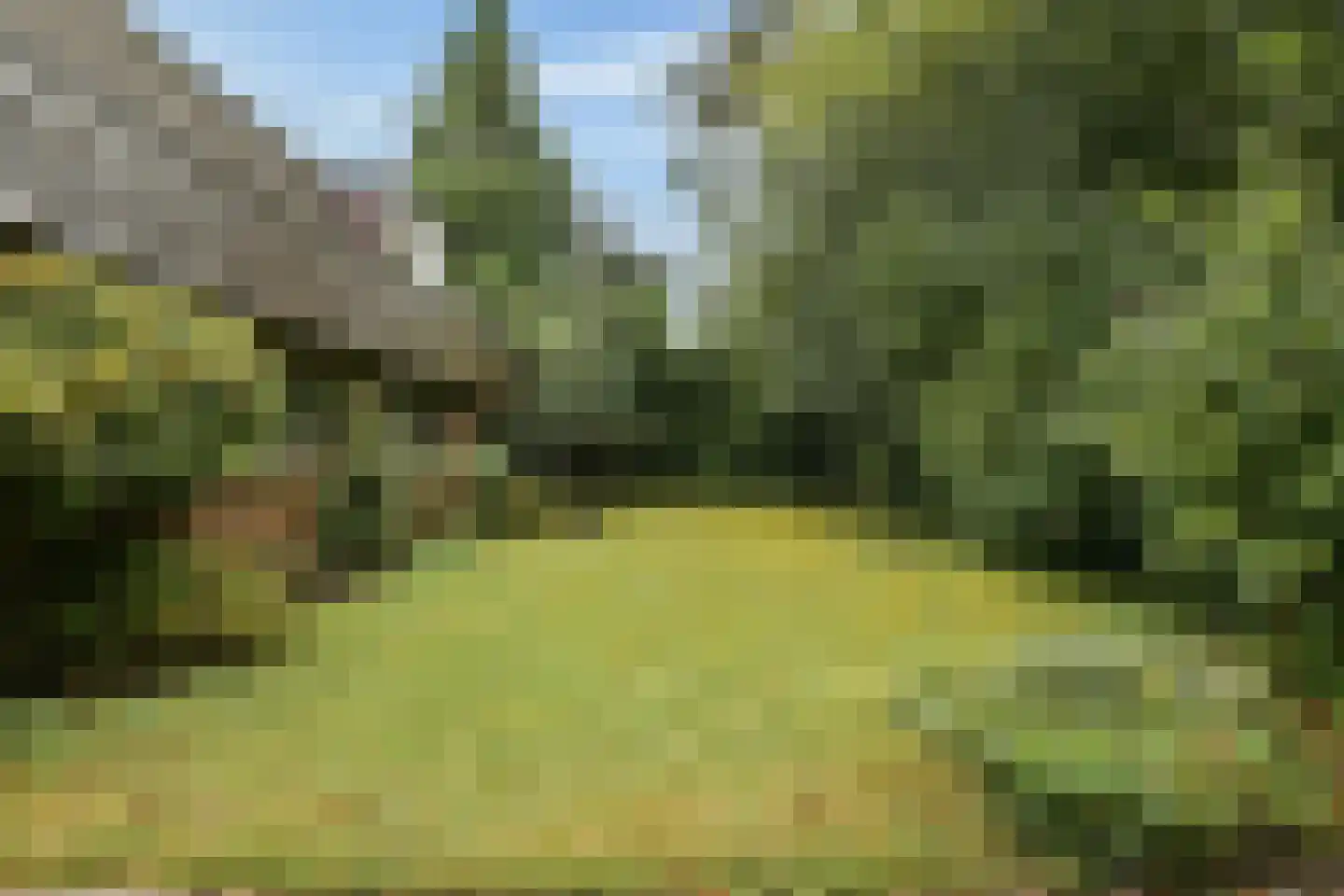 Hoefijzer 70 Loenen aan de Vecht thumbnail 27