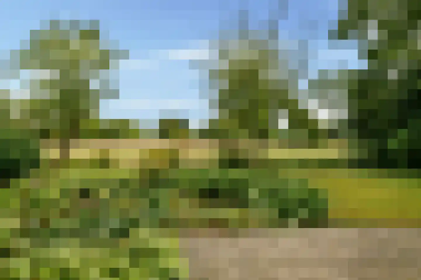 Hoefijzer 70 Loenen aan de Vecht thumbnail 28