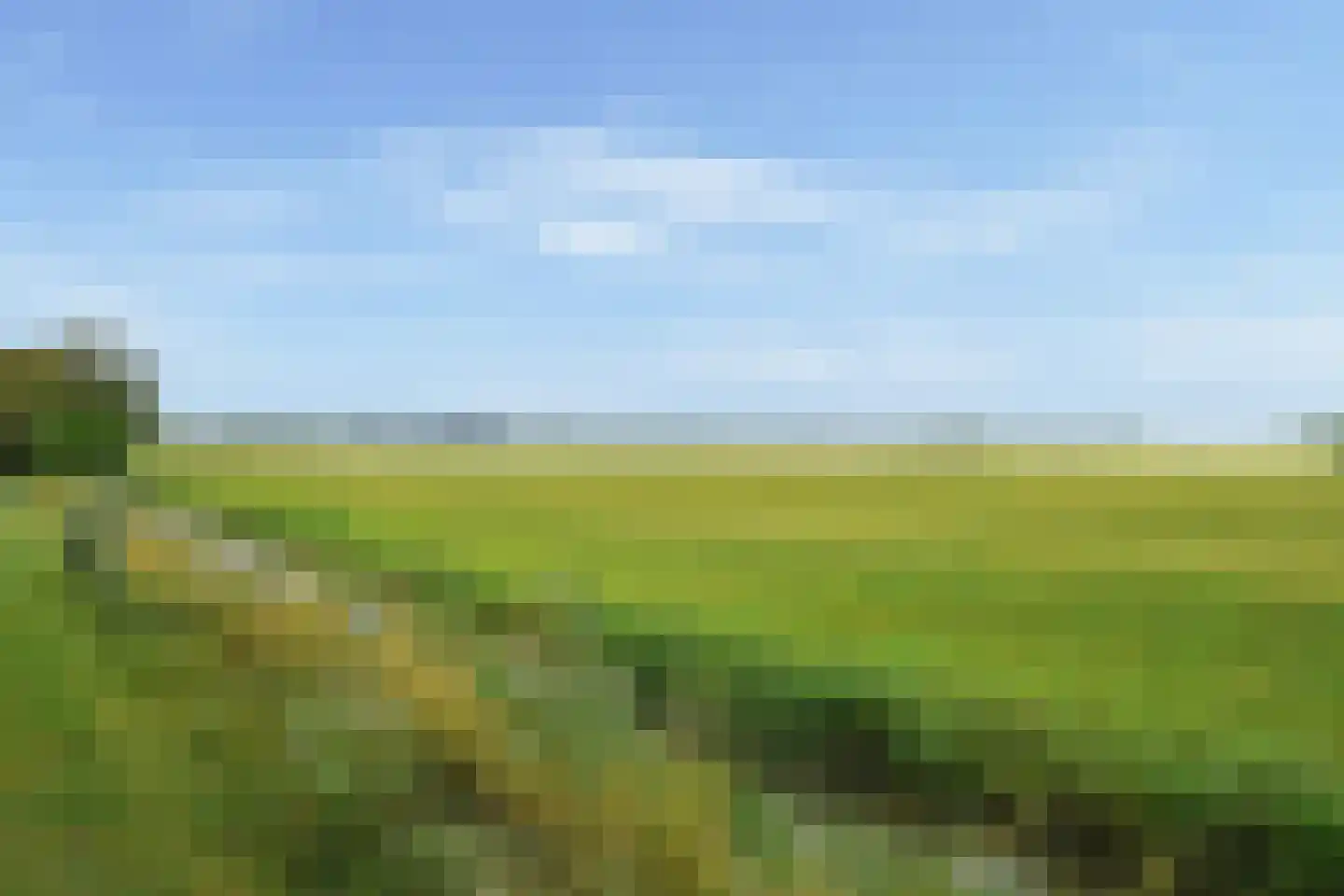 Hoefijzer 70 Loenen aan de Vecht thumbnail 29