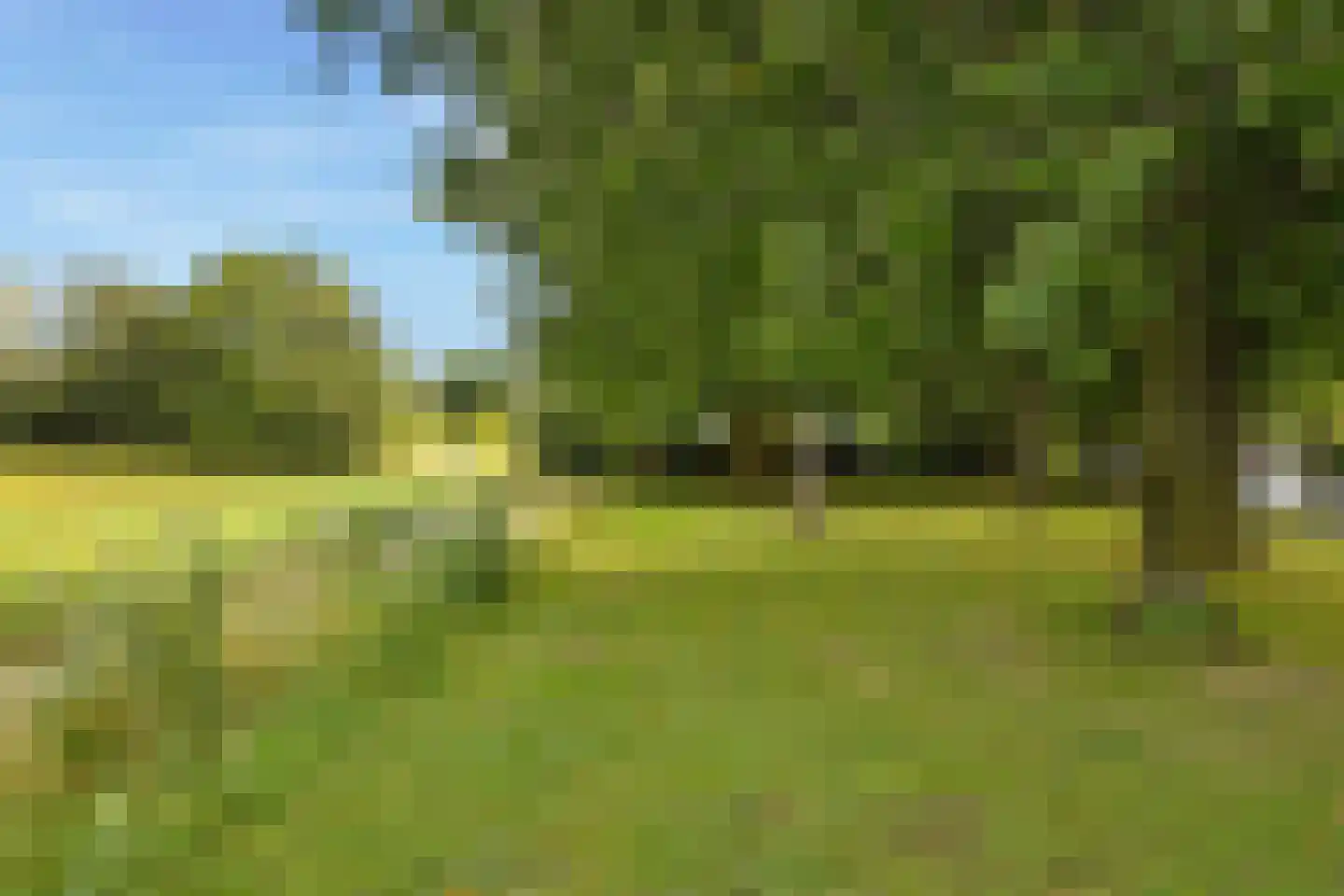 Hoefijzer 70 Loenen aan de Vecht thumbnail 30