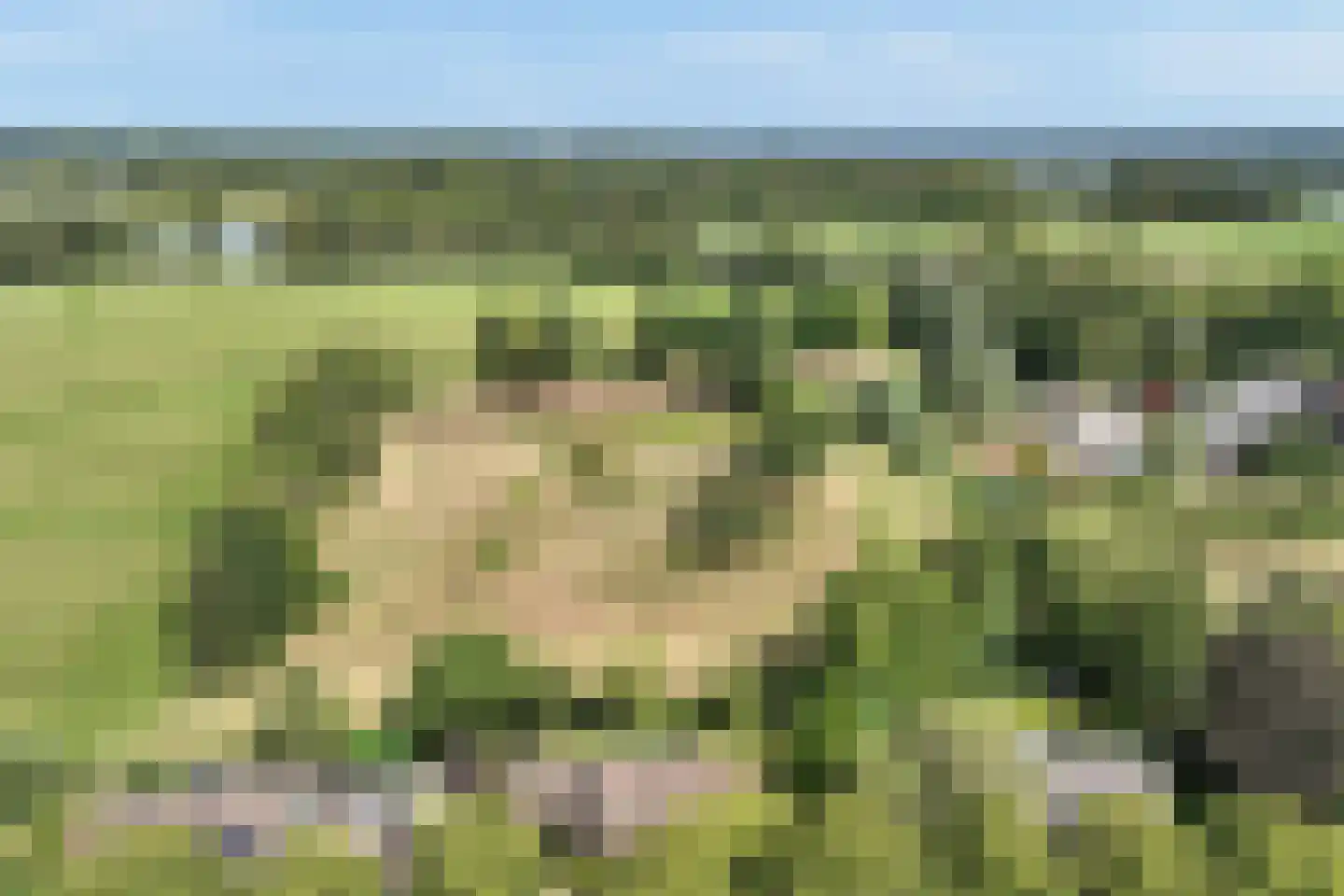 Hoefijzer 70 Loenen aan de Vecht thumbnail 31
