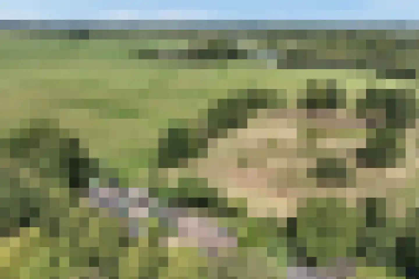 Hoefijzer 70 Loenen aan de Vecht thumbnail 33