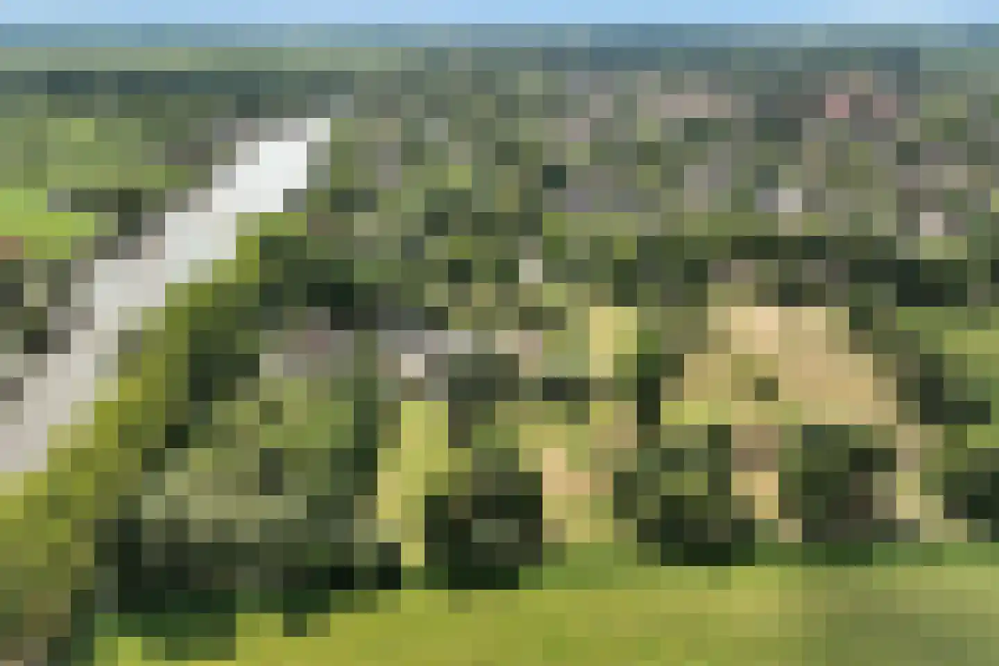 Hoefijzer 70 Loenen aan de Vecht thumbnail 34