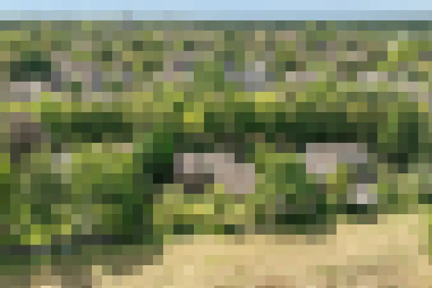 Hoefijzer 70 Loenen aan de Vecht thumbnail 5