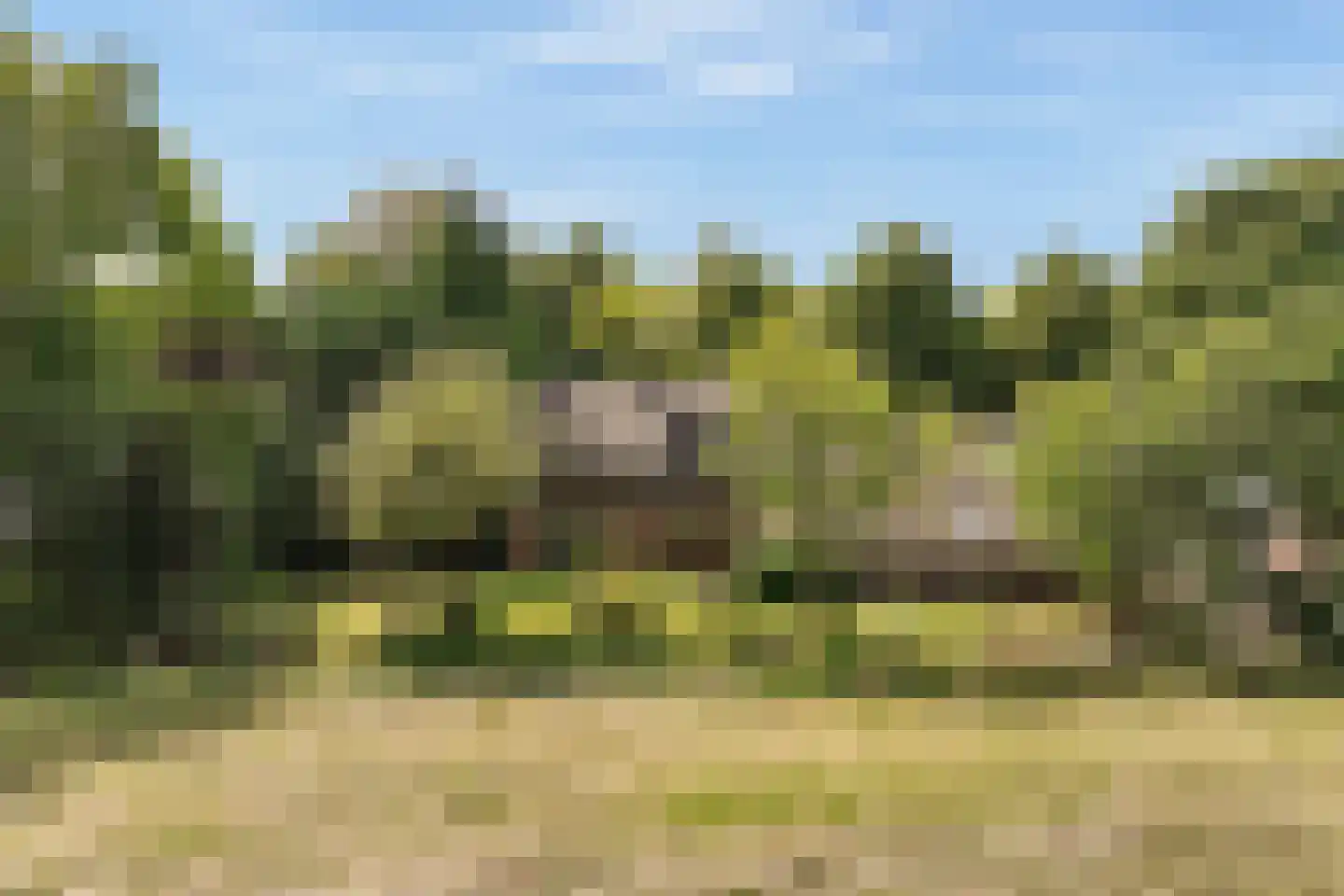 Hoefijzer 70 Loenen aan de Vecht thumbnail 6