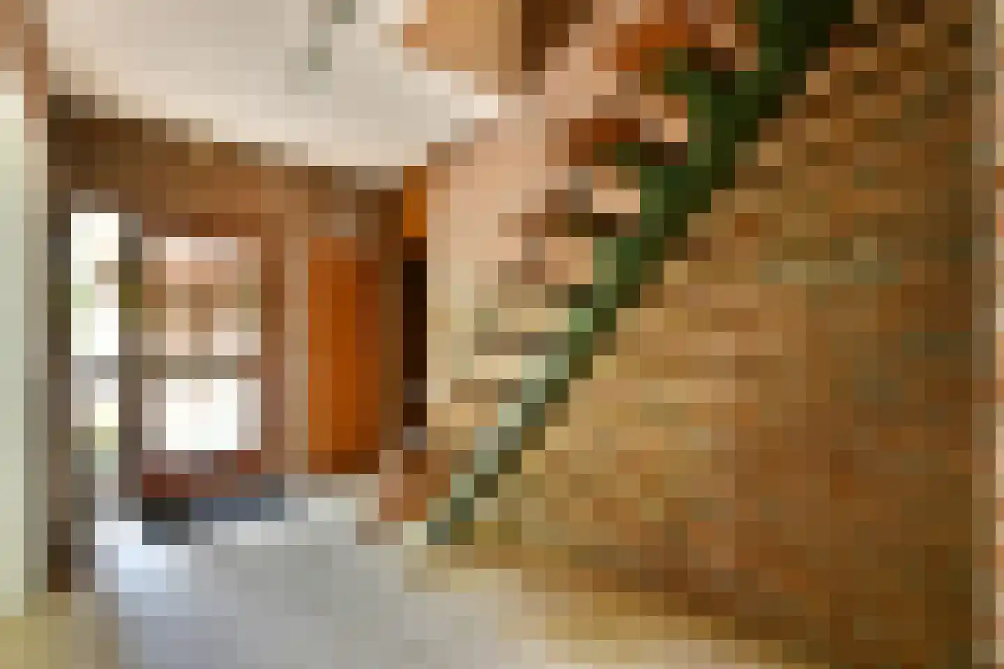 Hoefijzer 70 Loenen aan de Vecht thumbnail 7