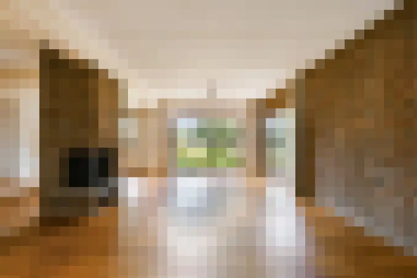 Hoefijzer 70 Loenen aan de Vecht thumbnail 9