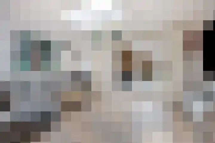 Hoefijzer 76 Zwaag thumbnail 10