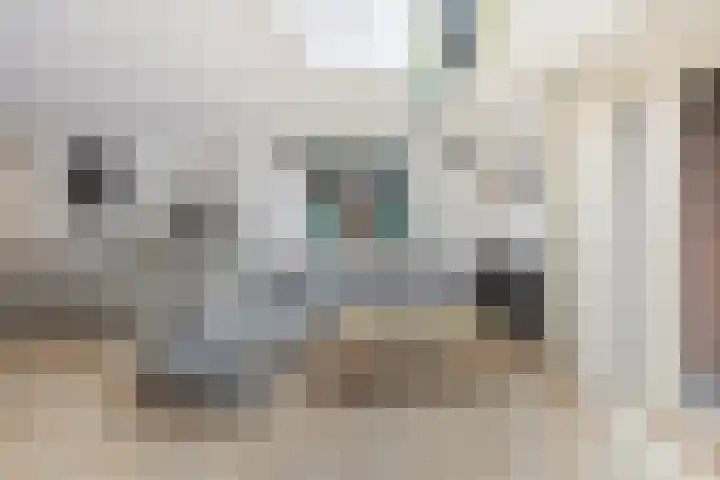 Hoefijzer 76 Zwaag thumbnail 11