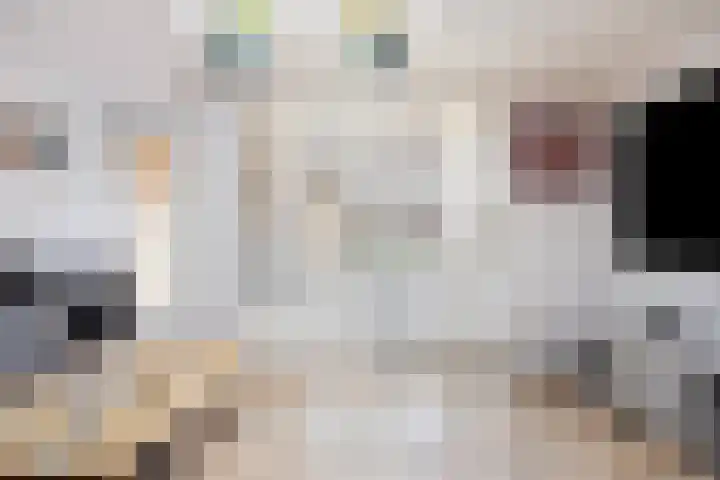 Hoefijzer 76 Zwaag thumbnail 12