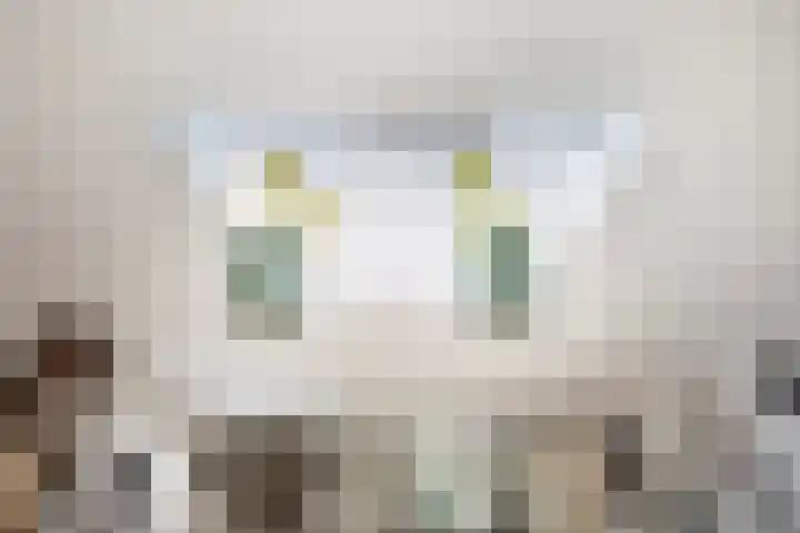 Hoefijzer 76 Zwaag thumbnail 13