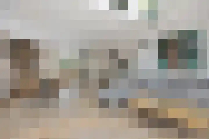 Hoefijzer 76 Zwaag thumbnail 14