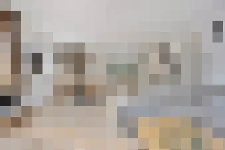Hoefijzer 76 Zwaag thumbnail 15
