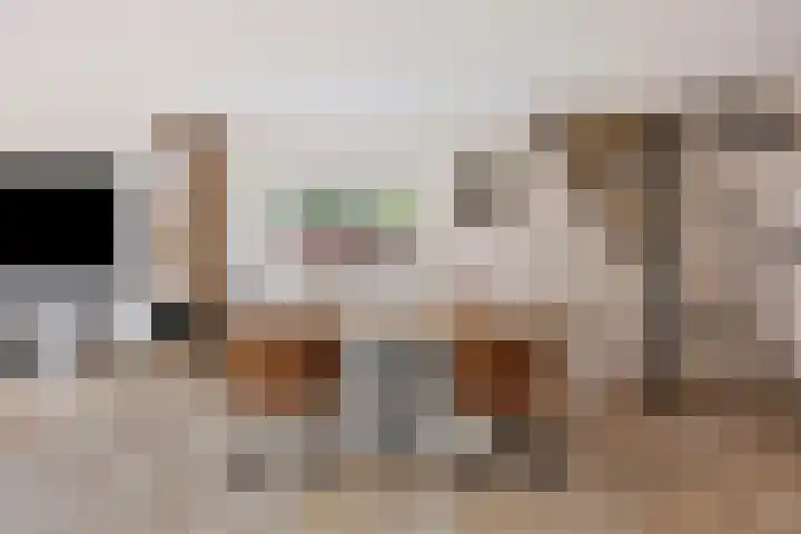 Hoefijzer 76 Zwaag thumbnail 17