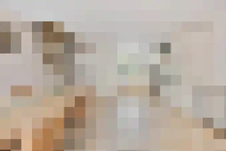 Hoefijzer 76 Zwaag thumbnail 20