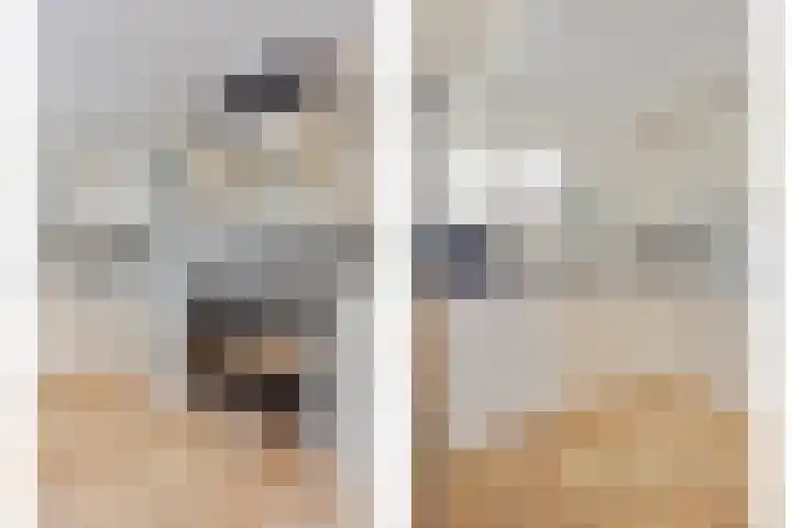 Hoefijzer 76 Zwaag thumbnail 23