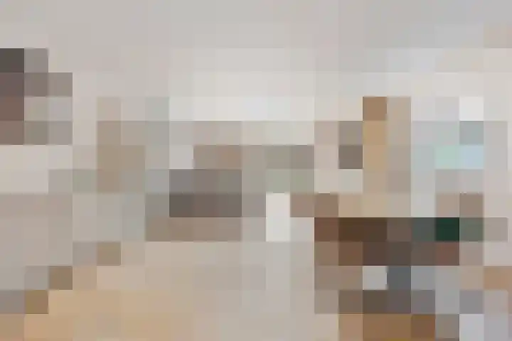 Hoefijzer 76 Zwaag thumbnail 25