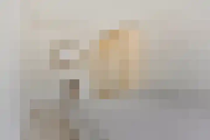 Hoefijzer 76 Zwaag thumbnail 28