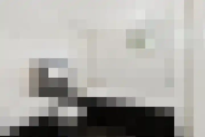 Hoefijzer 76 Zwaag thumbnail 29