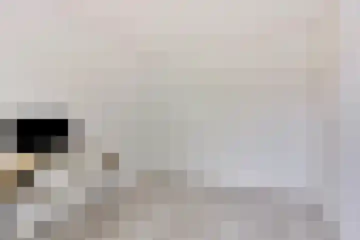 Hoefijzer 76 Zwaag thumbnail 32