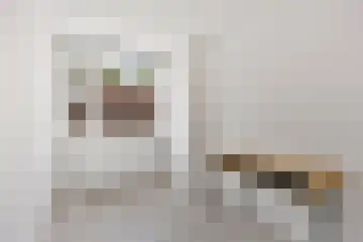 Hoefijzer 76 Zwaag thumbnail 33